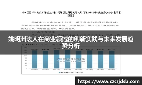 姚明洲法人在商业领域的创新实践与未来发展趋势分析